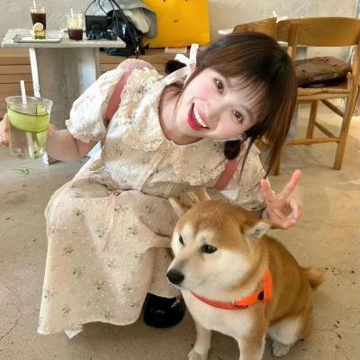 我的美女老师2